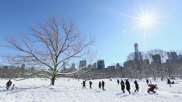 树站立和人们享受雪覆盖中央Par与阳光照耀曼哈顿摩天大楼/美国纽约视频素材