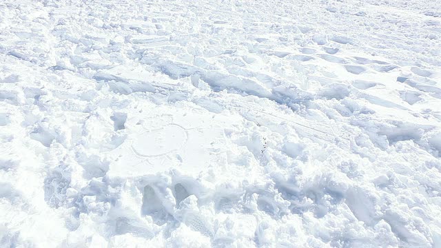 美国纽约曼哈顿摩天大楼上，树木林立，人们在中央公园享受冰雪覆盖视频素材