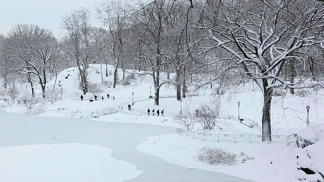 美国纽约中央公园被雪覆盖的池塘，树木视频素材