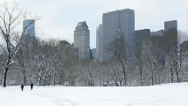 美国纽约，中央公园和曼哈顿摩天大楼上滑雪者的照片视频素材