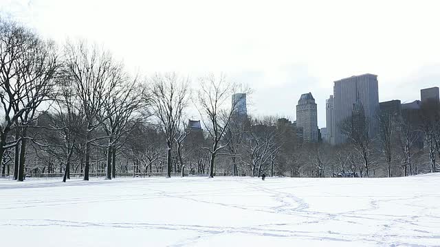 美国纽约，人们行走在冰雪覆盖的中央公园，曼哈顿摩天大楼视频素材