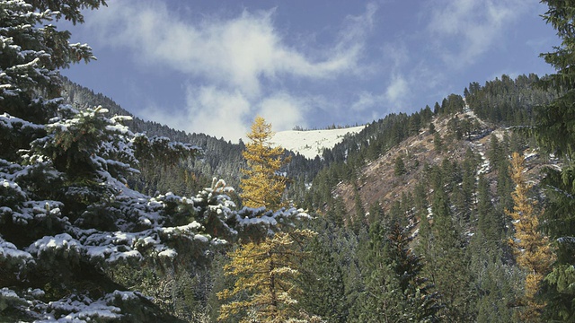 WS的观点，Whispy云漂浮在雪和山峰攀登到蓝天/约瑟夫，俄勒冈州，美国视频素材