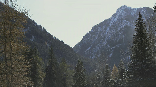 在阳光明媚的冬天，松树通向雪峰/约瑟夫，美国俄勒冈州视频素材