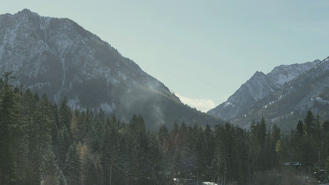 在阳光明媚的冬日，松树的壮丽景色通向雪山的山峰/美国俄勒冈州的约瑟夫视频素材