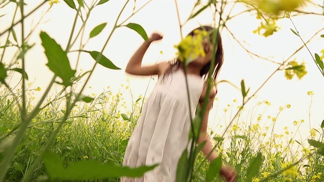 印度哈里亚纳邦，女孩在芥菜田里玩耍视频素材