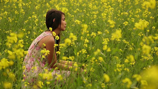 年轻女子坐在芥菜田里，哈里亚纳邦，印度视频素材