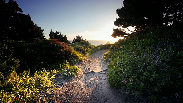 WS SLO MO POV男子骑自行车俯瞰Ocean / Port Orford Heads State Park，俄勒冈州，美国视频素材