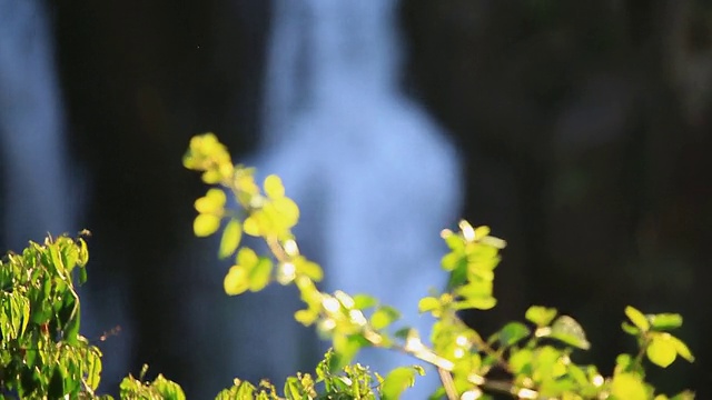 MS R/F Cataratas do Iguacu Falls / Foz do Iguacu, Parana，巴西视频素材