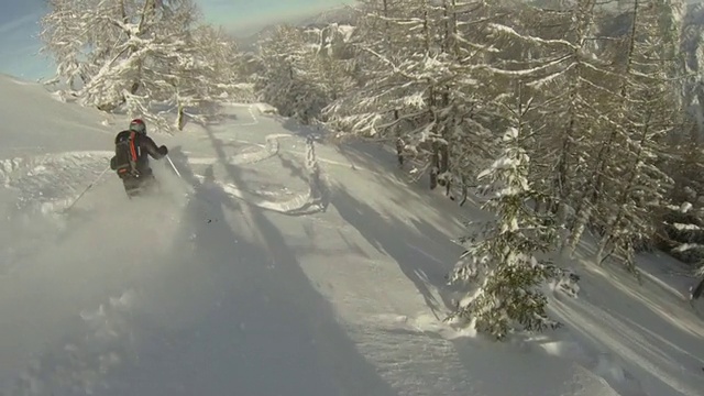 两个人在树林中滑雪，从白雪覆盖的山上滑下来。- 1920 x1080视频素材