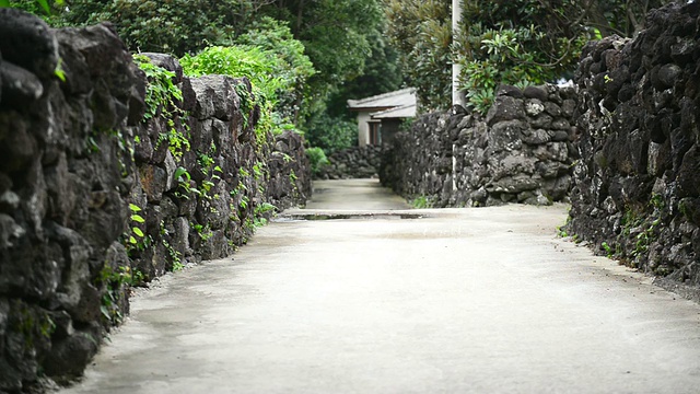 MS拍摄于传统jeju村/ jeju, jeju -do，韩国视频素材