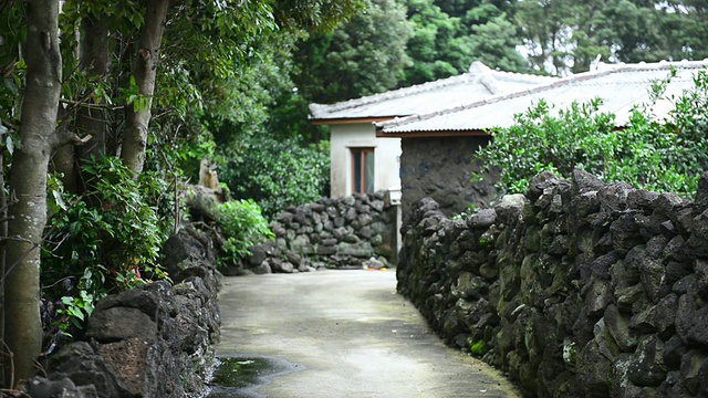 MS拍摄于传统的济州岛村庄/济州岛，韩国视频素材