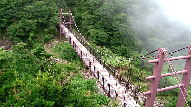 韩国济州岛hallasan山国家公园/济州岛的一座桥视频素材