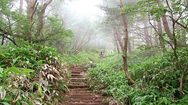 在韩国济州岛的hallasan山国家公园，人们从山上和台阶上爬下来视频素材