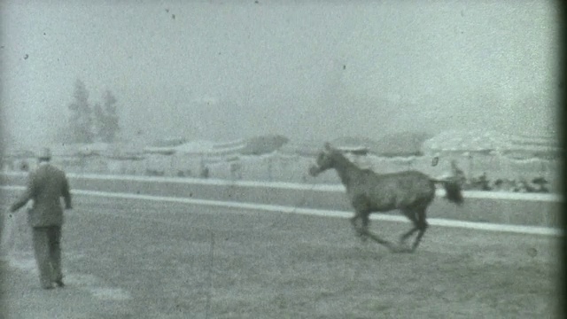 种马训练1930视频素材