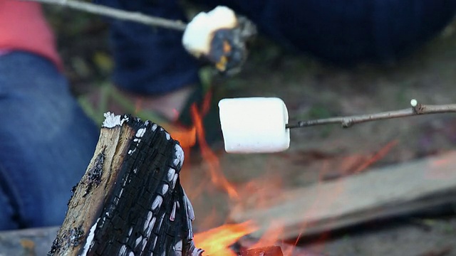 ECU家庭在篝火上烤棉花糖/里士满，弗吉尼亚州，美国视频素材