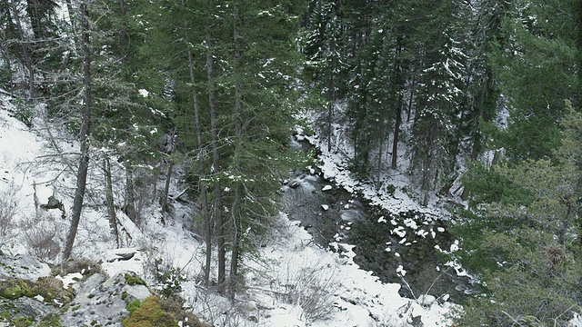 “MS以向下的角度拍摄的冬季小溪，这条小溪流经雪山松林/美国俄勒冈州约瑟夫”视频素材