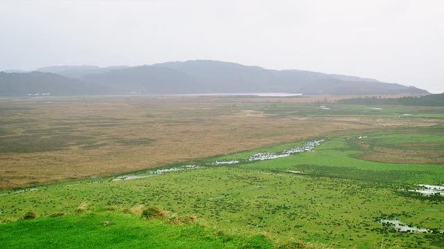 dunadd hillfort，雨天/ dunadd hillfort，基尔马丁，苏格兰，英国视频素材