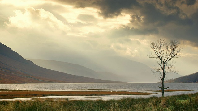 gualachulain by Loch Etive，孤独的树和云山/ gualachulain，苏格兰，英国视频素材