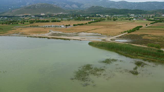 WS TS鸟瞰火烈鸟在湖/科斯，十二decanese，希腊视频素材