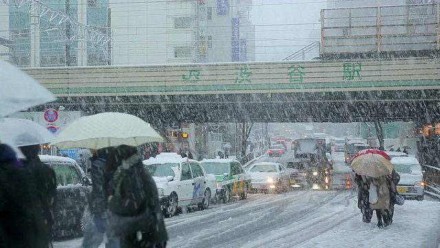 MS拍摄的涉谷十字路口雪天和人们过马路/涉谷，东京，日本视频素材