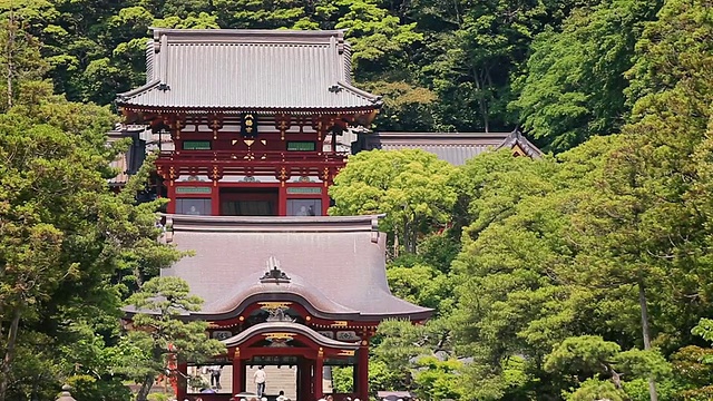 Tsurugaoka Hachiman-gu shrine /镰仓，神奈川县，日本视频素材