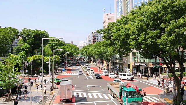 日本东京涩谷的十字路口和泽尔科娃树街，车辆在街上行驶视频素材