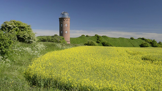 灯塔和油菜田的WS视图在Kap Arkona / Kap Arkona，鲁根/梅克伦堡，德国视频素材