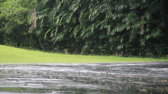 下雨视频素材