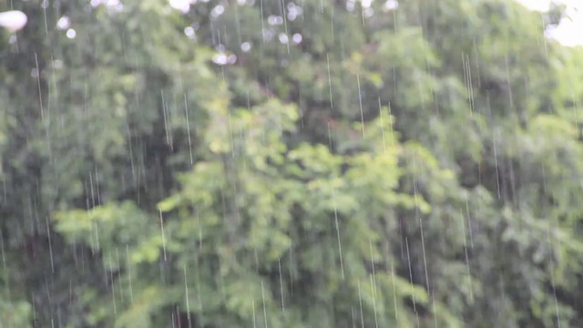 下雨视频素材