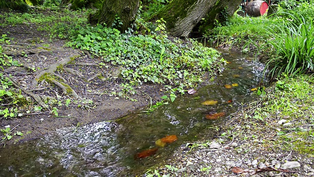 小公园里的流水视频素材