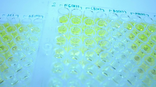 科学家和生物实验室实验视频素材