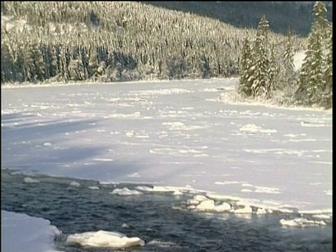 倾斜的阳光下的山与积雪覆盖的冷杉树，小冰溪流挪威Osterdalen地区视频素材