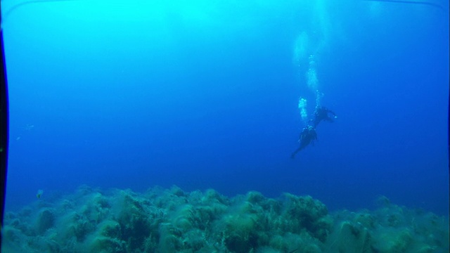 水下呼吸器潜水员在海底植物上面游泳。视频素材