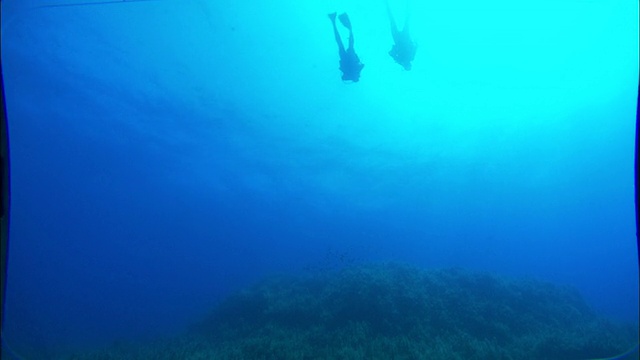 水下呼吸器潜水员在地中海游泳。视频素材