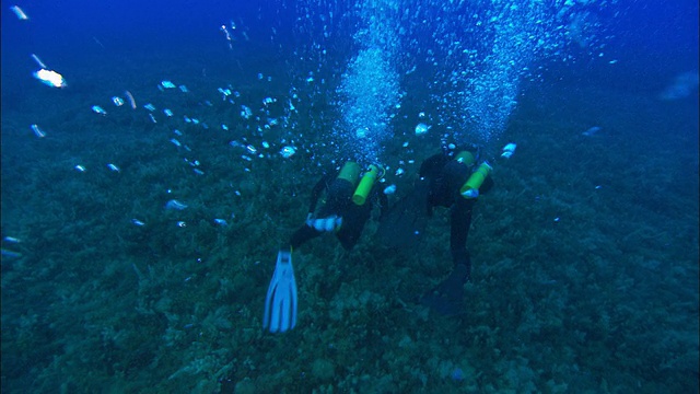 两名戴水肺的潜水员在地中海的海底游泳。高清。视频素材