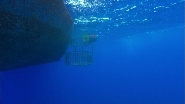 一个鲨鱼笼漂浮在地中海的一艘船只附近。高清。视频素材