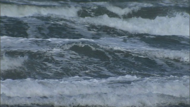 海浪冲击着海岸。高清。视频素材