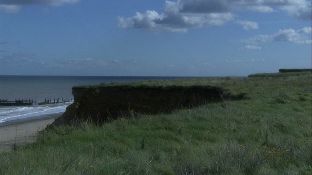 草生长在Happisburgh海岸悬崖，英国。视频素材