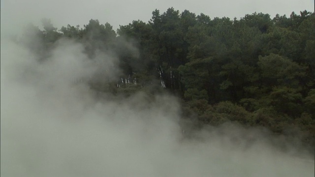 热气从温泉中滚滚而出，经过郁郁葱葱的森林。高清。视频素材