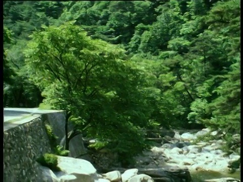 乡村森林与孤立的宝塔/神社潘留下过去的小溪，以道路与单车行驶过去视频素材