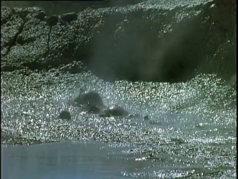 平底锅就在温泉里沸腾的泥浆上视频素材