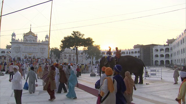 在印度阿南德普尔的Hazur Sahib nand, Nihang在大象旁边散步。视频素材