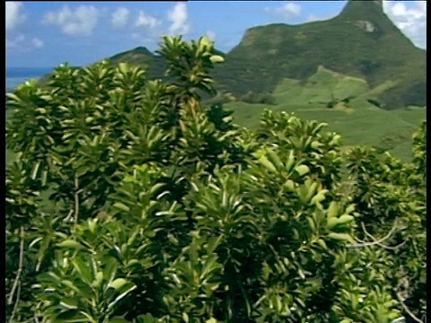 郁郁葱葱的山与滚动的山丘和树木在前景pan留下平静的蓝色海洋到地平线上的海岸地区与白色蓬松的云上面视频素材