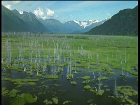 在群山环绕的湿地地区向前行进视频素材