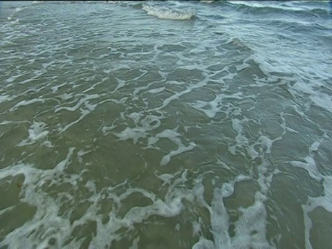 海浪拍打着海岸，向空旷的沙滩和棕榈树倾斜视频素材