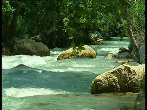 湍急的河水流过巨石和悬垂的树枝视频素材