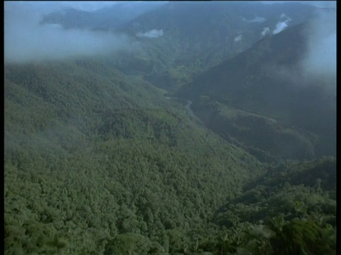 空中航迹指向云雾林山脊，并越过云雾林山脊，露出远处的丛林山谷视频素材