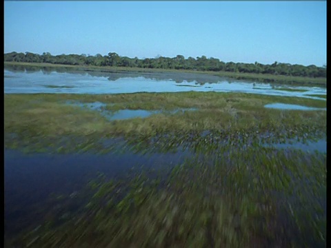 在淹没的潘塔纳尔的湖泊和沼泽上空的航迹视频素材