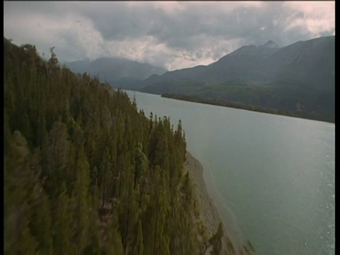 空中航迹越过山脉和针叶树环绕的峡湾海岸线视频素材