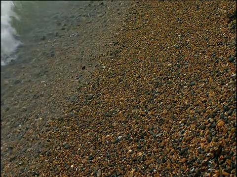 从海浪拍打卵石的地方向多佛的白崖倾斜视频素材